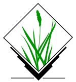 Grass logo